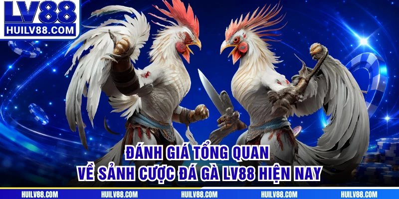 Đánh giá tổng quan về sảnh cược đá gà LV88 hiện nay